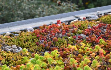 the cost of Six Road Ends green roof installation