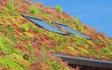 Six Road Ends living roof systems