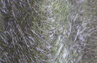 Six Road Ends fibreglass roof work